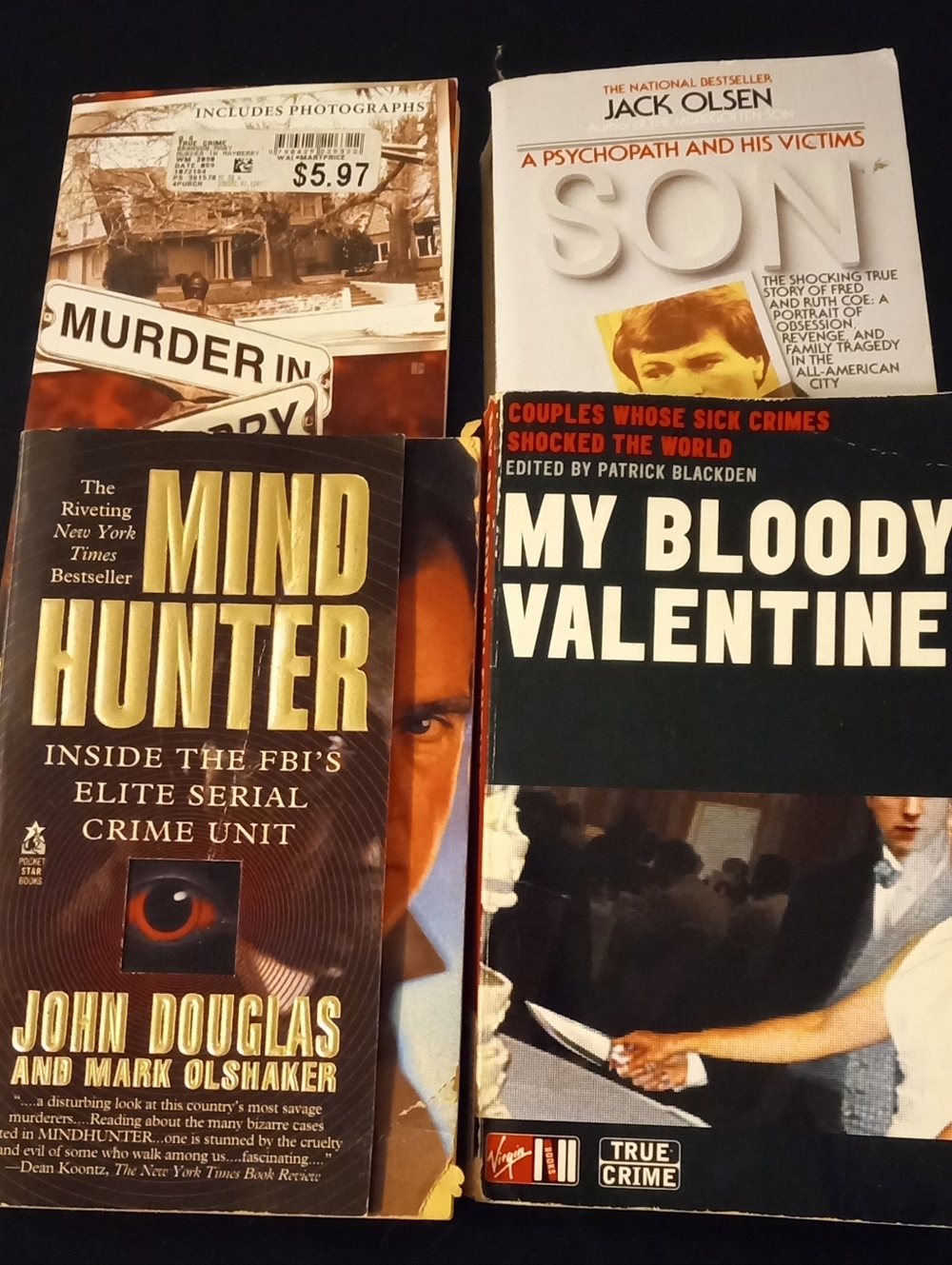 True Crime Book Lot — Mind Hunter, My Bloody Valentine, Son, Murder in...